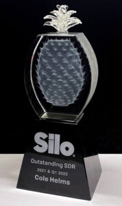 3d crystal pineapple award