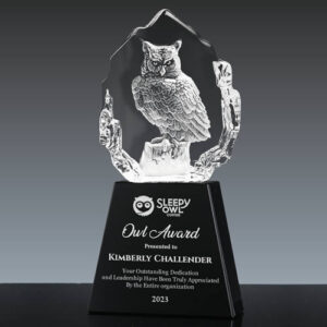 wise owl crystal trophy award