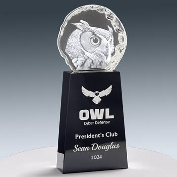 premium crystal owl award for employee recognition