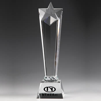 premium crystal star trophy for employee recognition