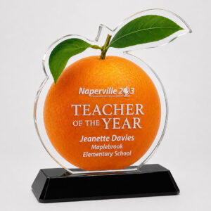 crystal orange award